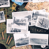 Into The Moat - The Campaign vinyl jacket cover